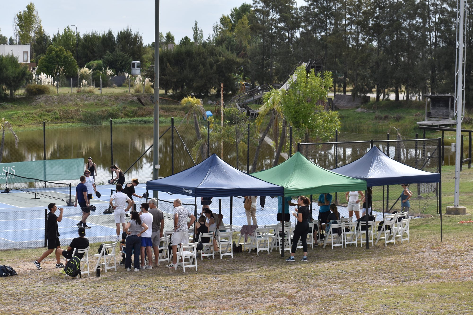 Canchas de Oasis Pickleball Club